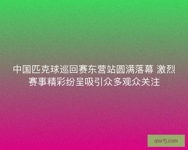 中国匹克球巡回赛东营站圆满落幕 激烈赛事精彩纷呈吸引众多观众关注